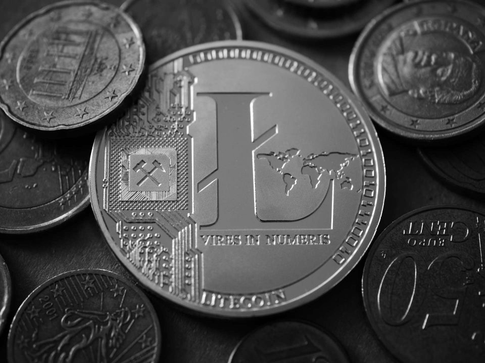 Litecoin Münze mit Kleingeld