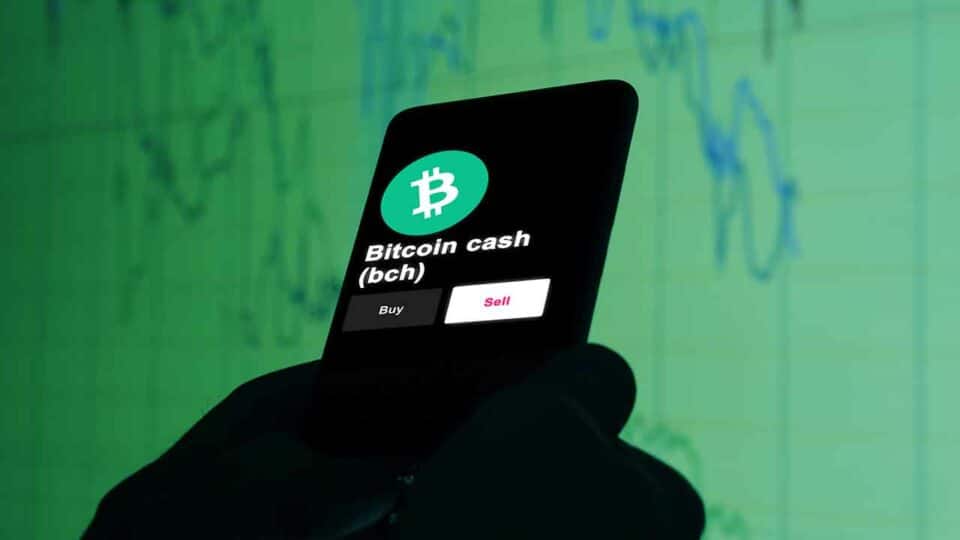 Bitcoin Cash Logo Smartphone