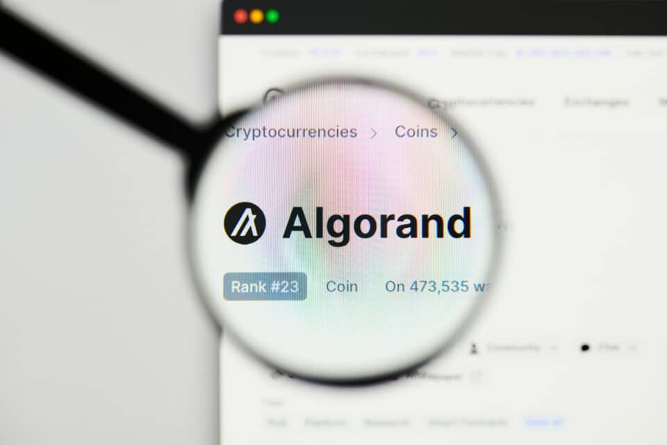Algorand Logo unter der Lupe