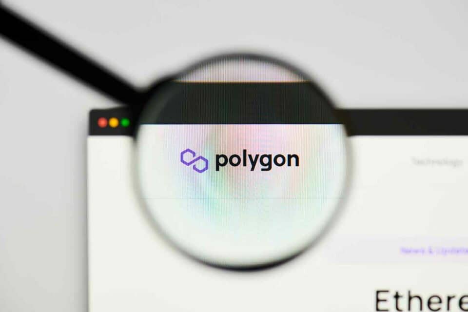 Polygon MATIC Logo mit Lupe vergrößert