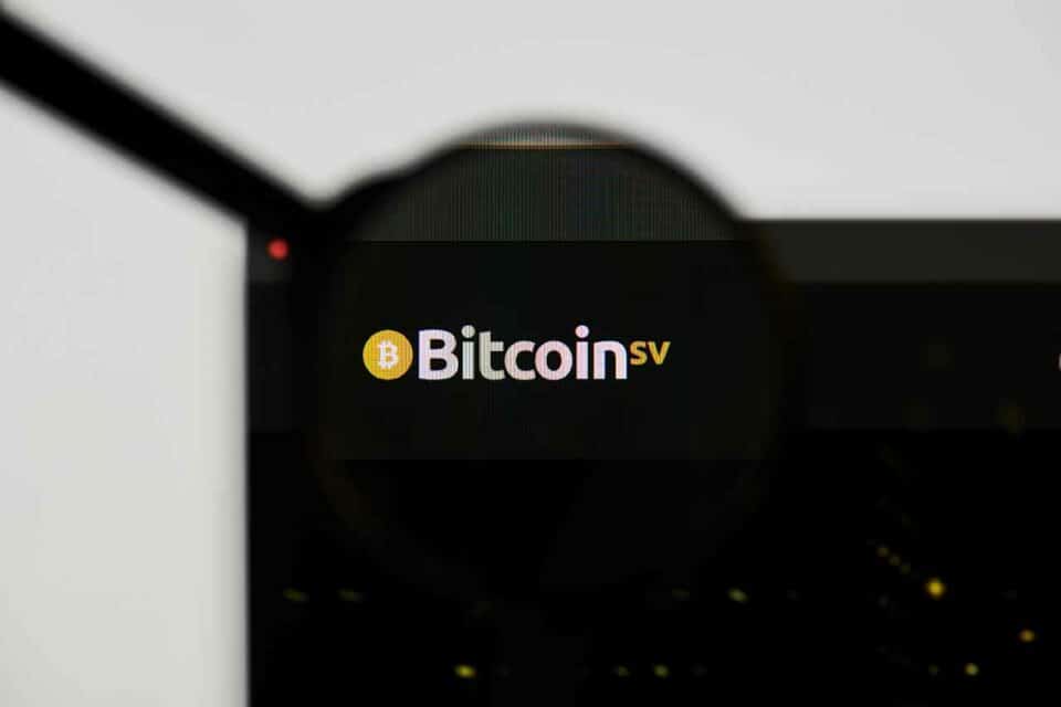 Bitcoin SV Logo unter einer Lupe