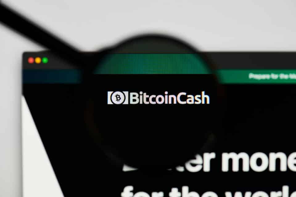 Bitcoin Cash Logo unter Lupe