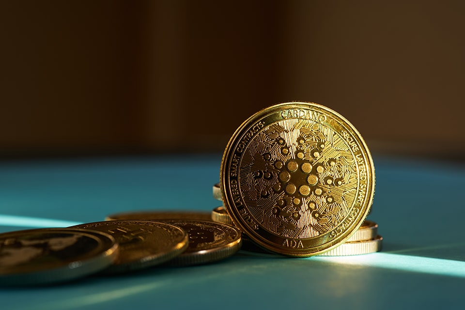 Cardano Münzen aus Gold