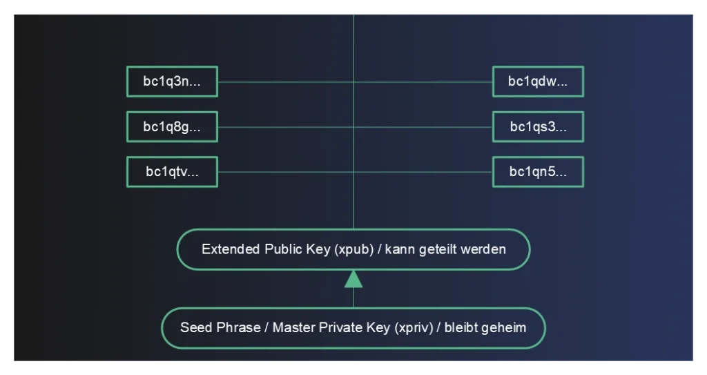 XPUB, ZPUB und YPUB: Funktion und wie man sie in Wallets findet